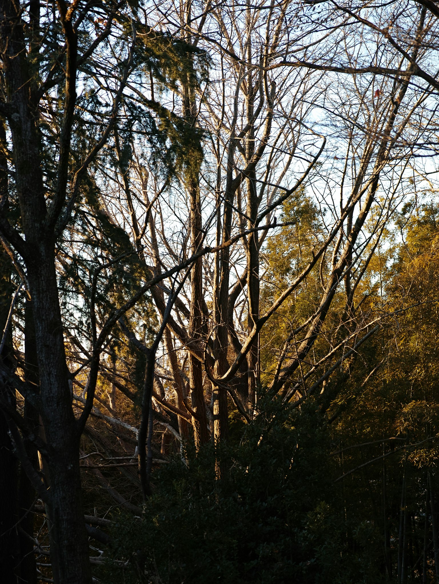 photo-aISXAZqJVtW3RRo9WTqY-image
