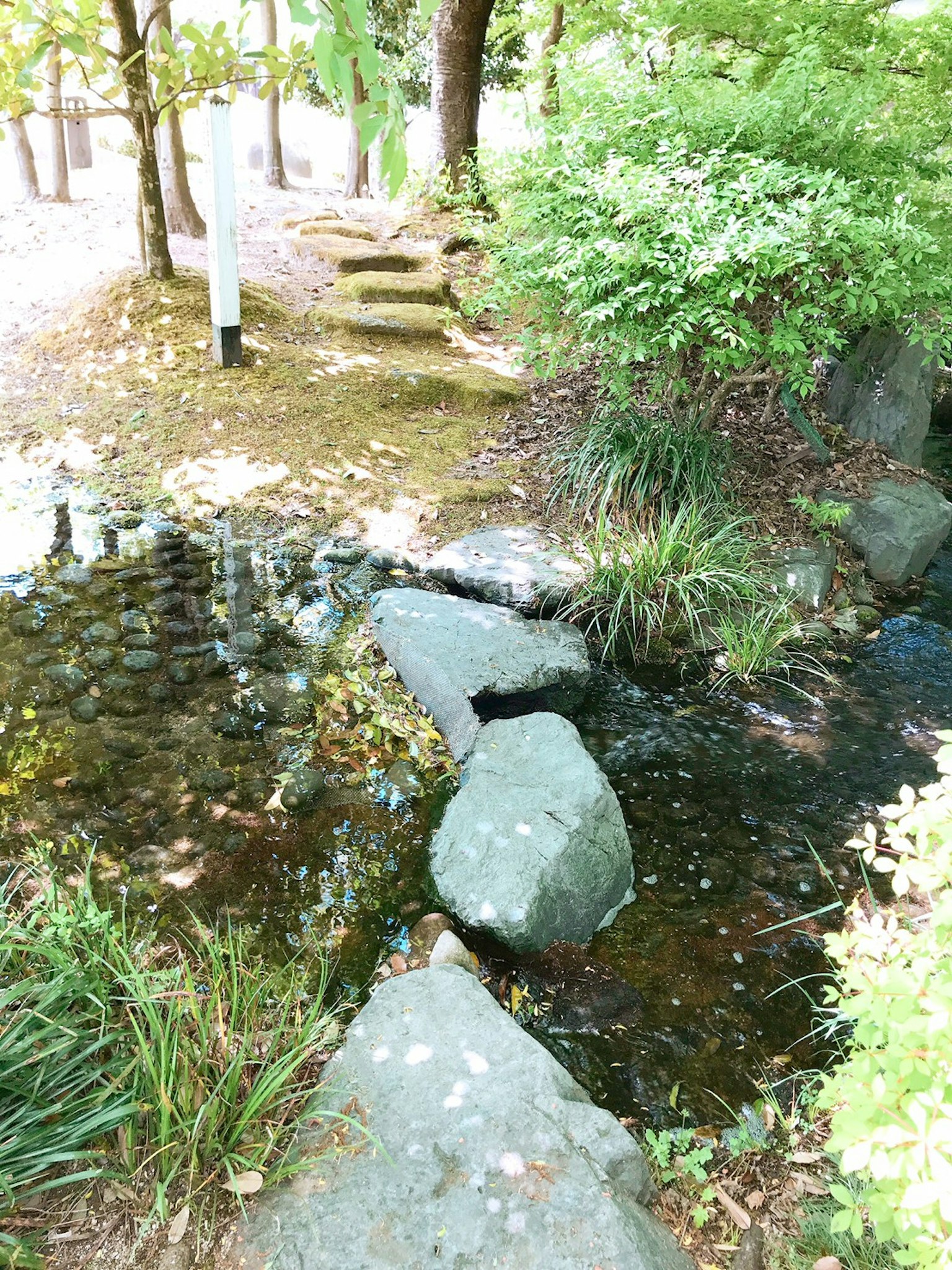 Scenic view of a stream with rocks in a lush green park