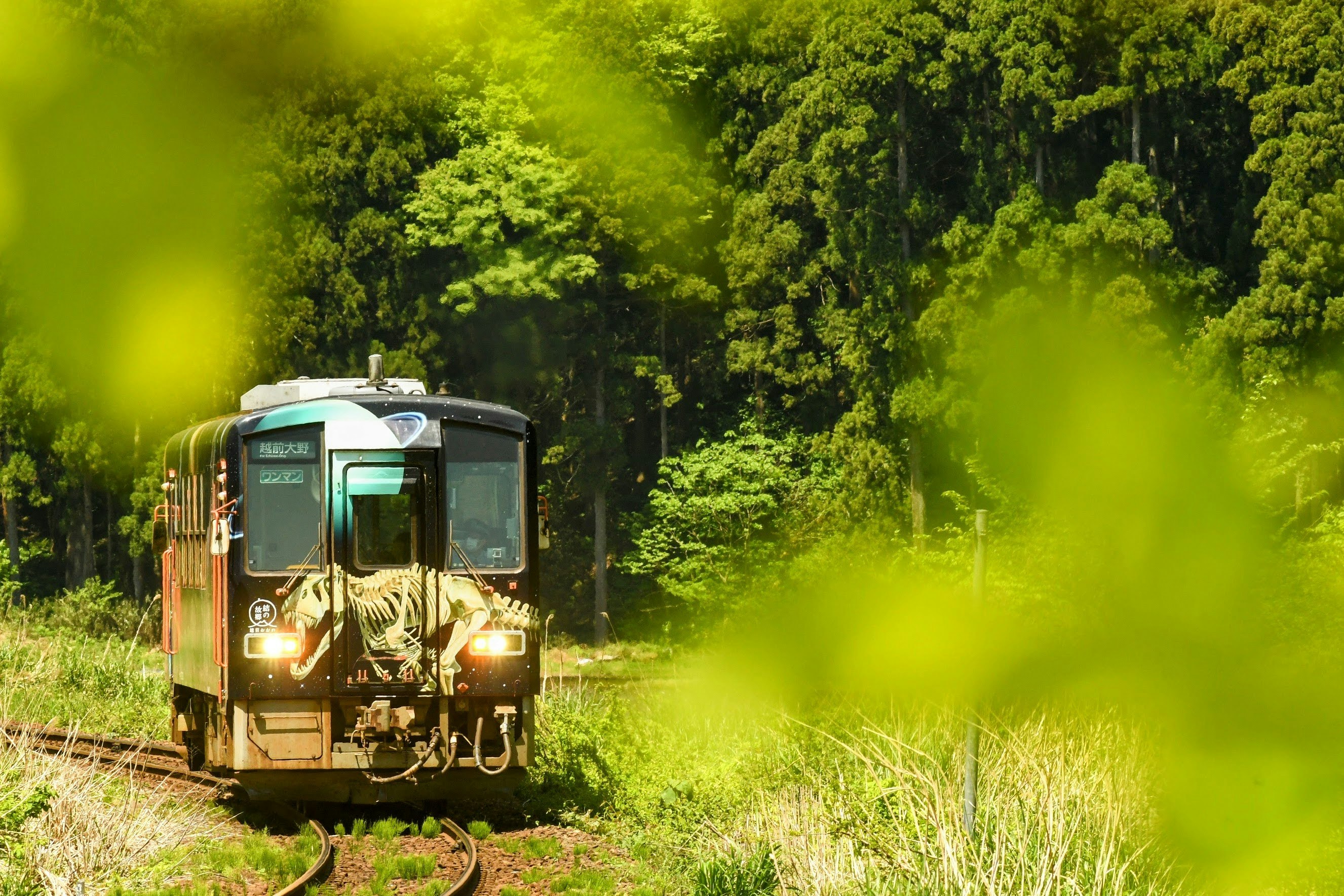 緑の草むらの中を走るディーゼル列車