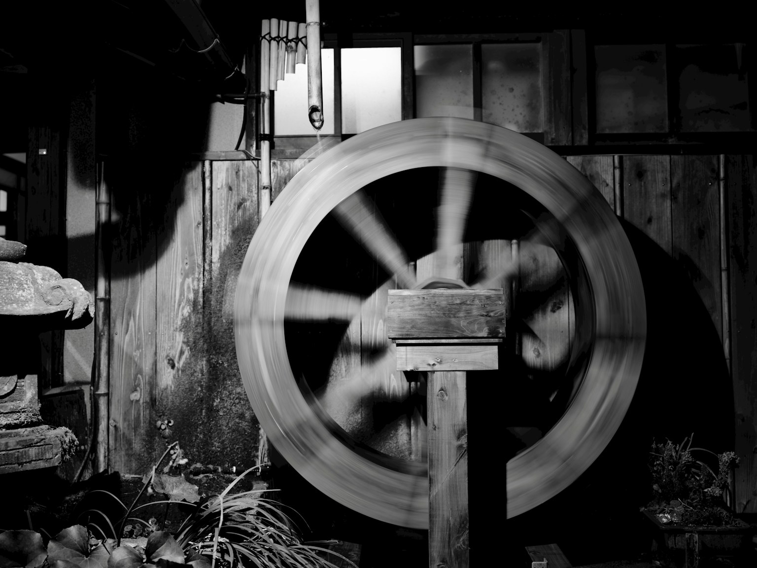 Una ruota idraulica in legno che gira su uno sfondo bianco e nero con piante circostanti