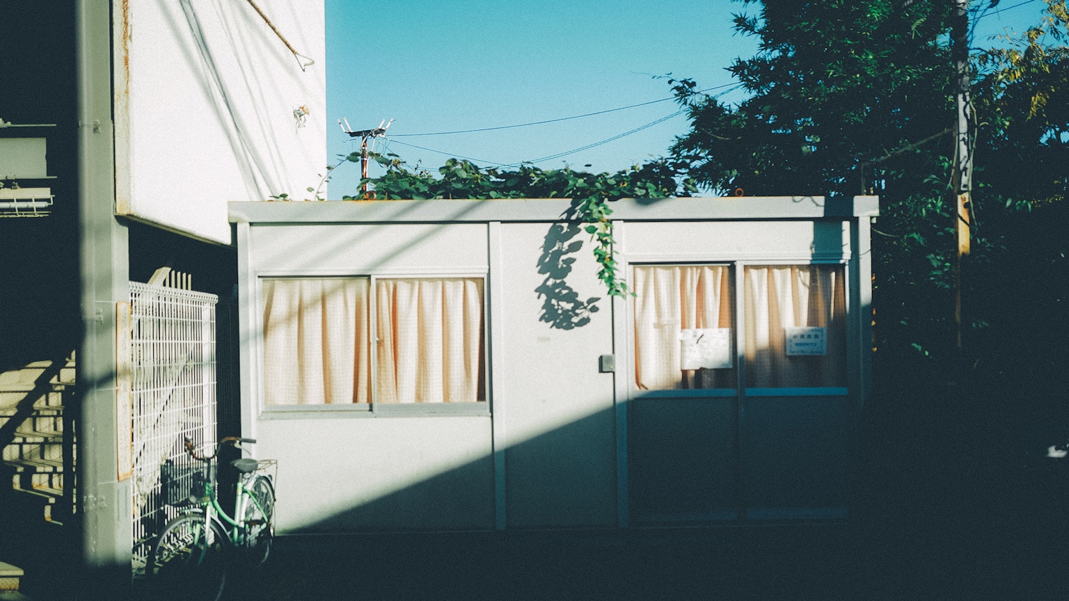 Small bright house under a blue sky with curtains on the windows adorned with green plants