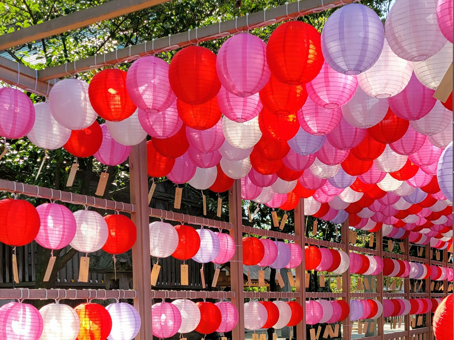 Không gian trang trí với đèn lồng đỏ và hồng treo