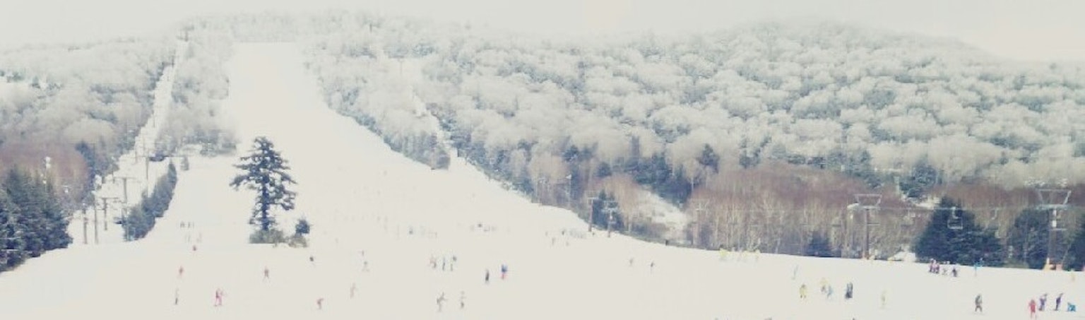 冬季景观，雪覆盖的坡道和树木