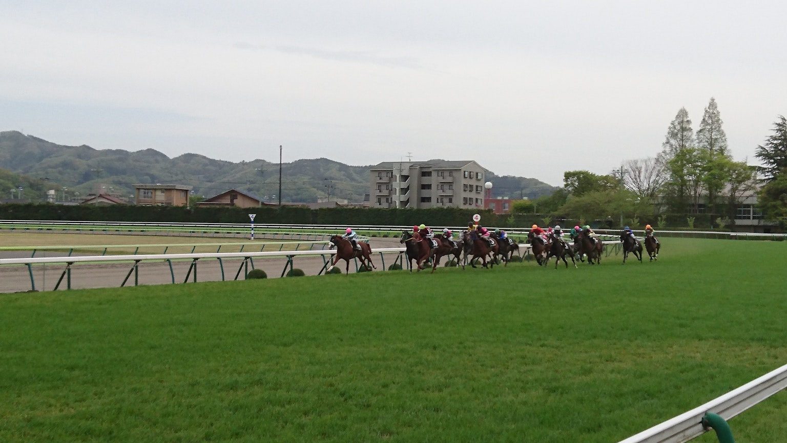 Horses racing at a horse track with green grass and mountains in the background