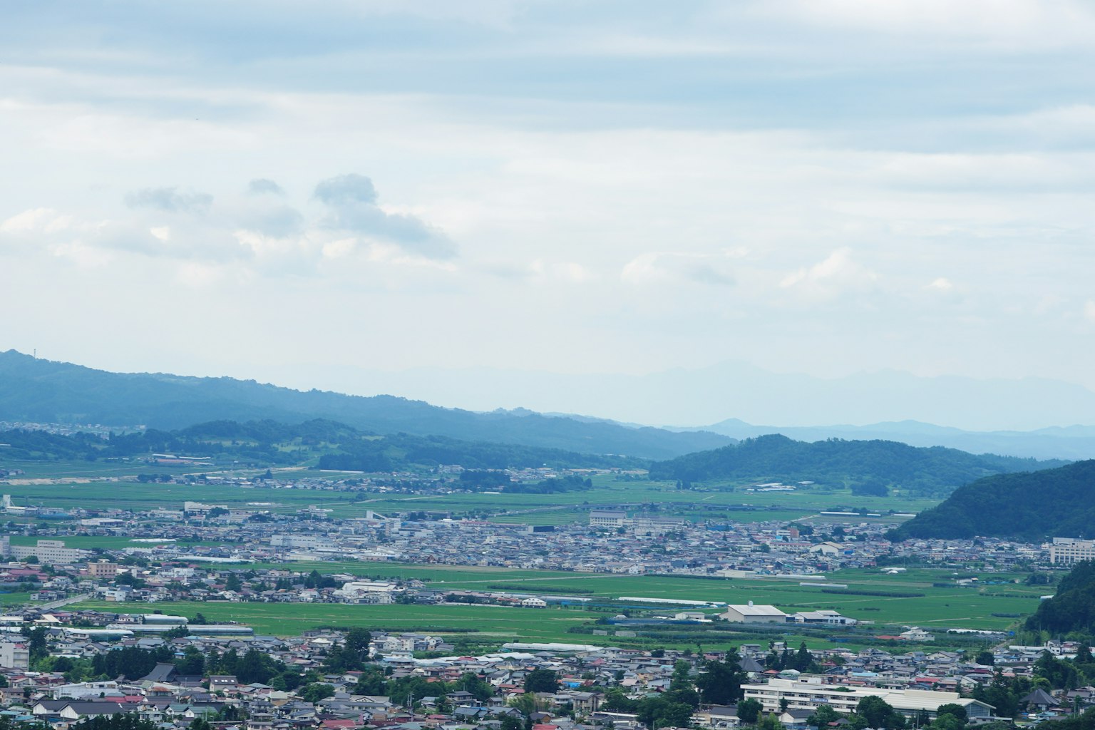 郁郁蔥蔥的田野和遠山的風景
