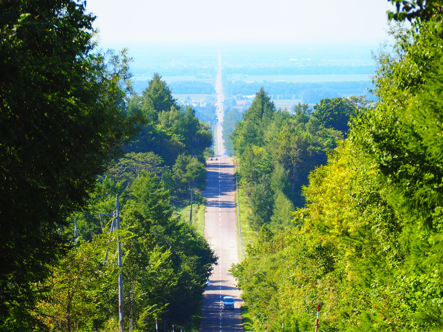 被绿色树木环绕的长直道路的风景