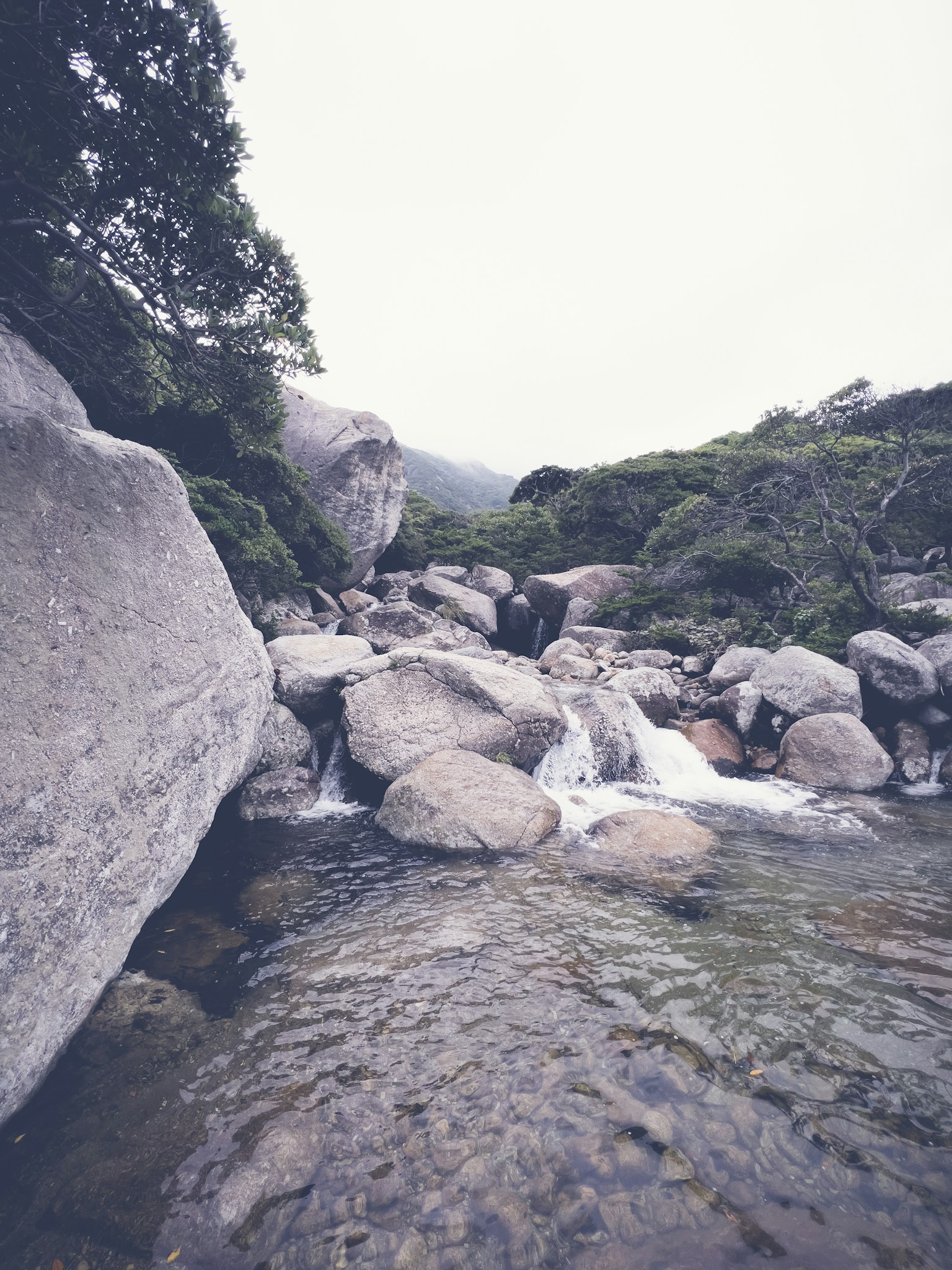 Paysage naturel avec des rochers et de l'eau qui coule végétation verte et ciel nuageux