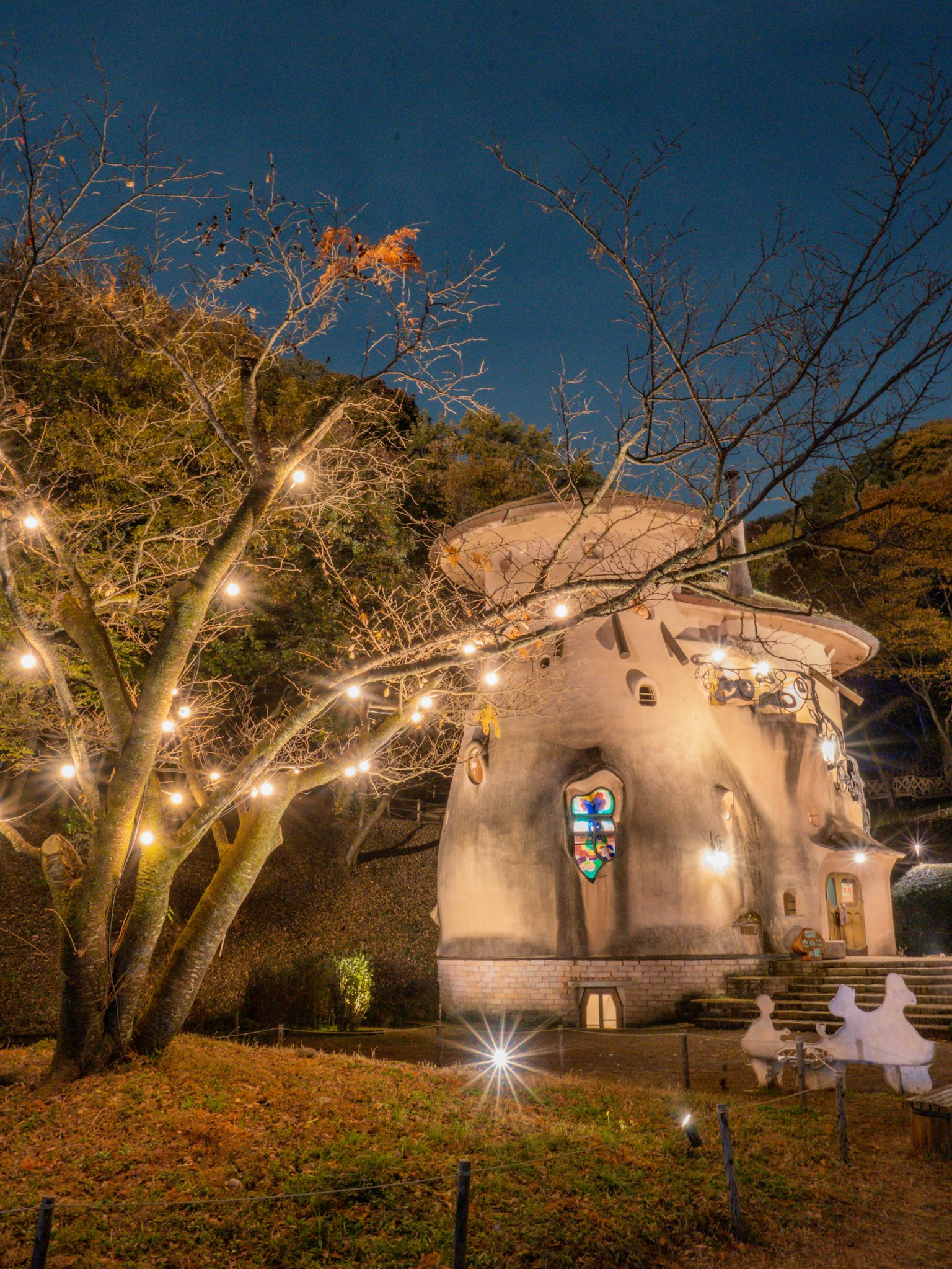 Una casa fantasiosa illuminata di notte con un albero luminoso