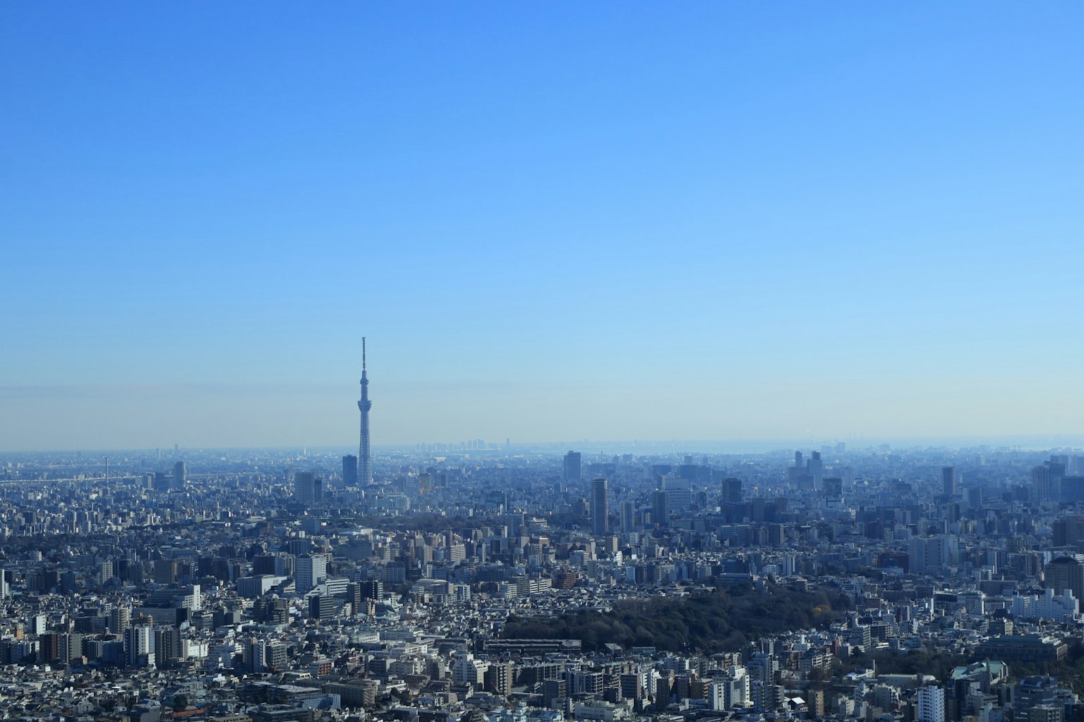 Panoramablick auf Tokio mit Tokyo Skytree unter einem klaren blauen Himmel