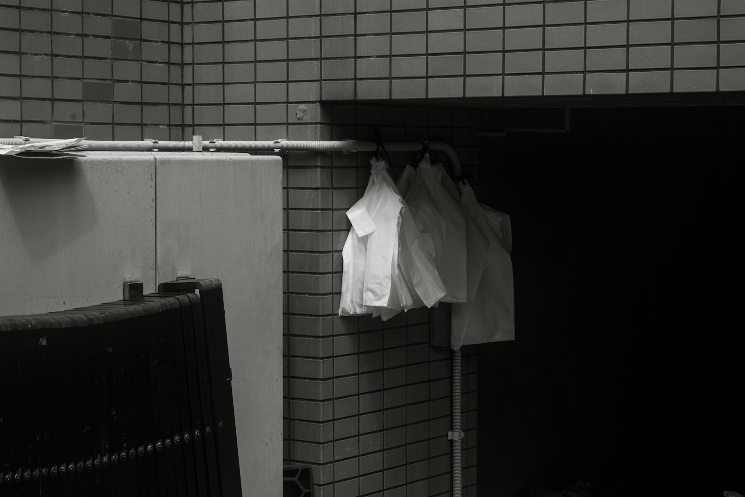 photo-aLPcvgn4n8VZu8EmZ8pa-image