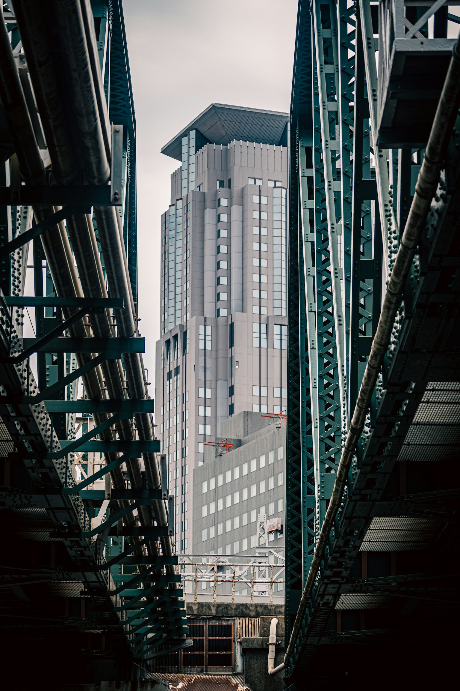 photo-aLT3jtUe5lRF5dAPw4B4-image