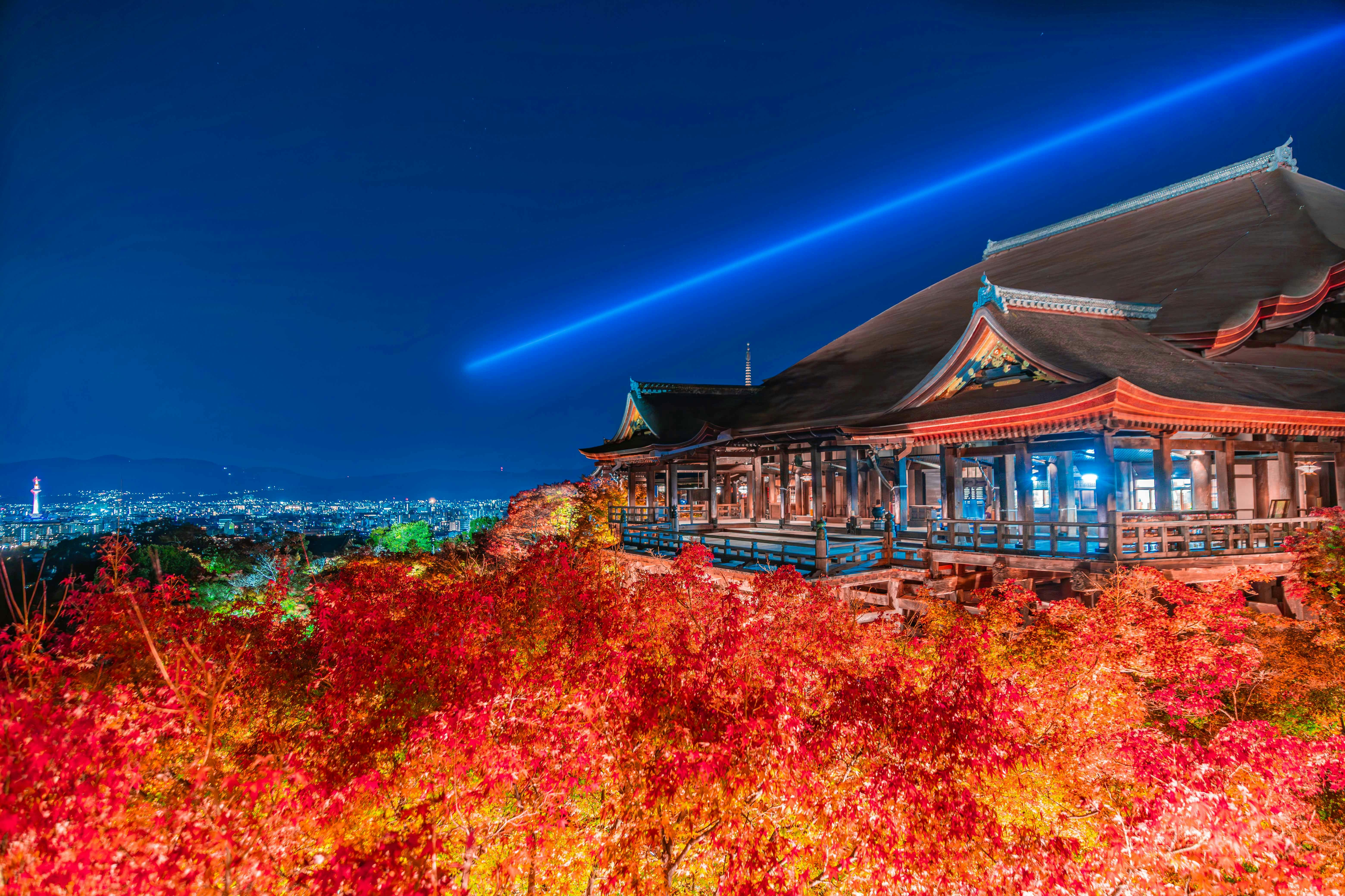 清水寺のライトアップと紅葉の夜景