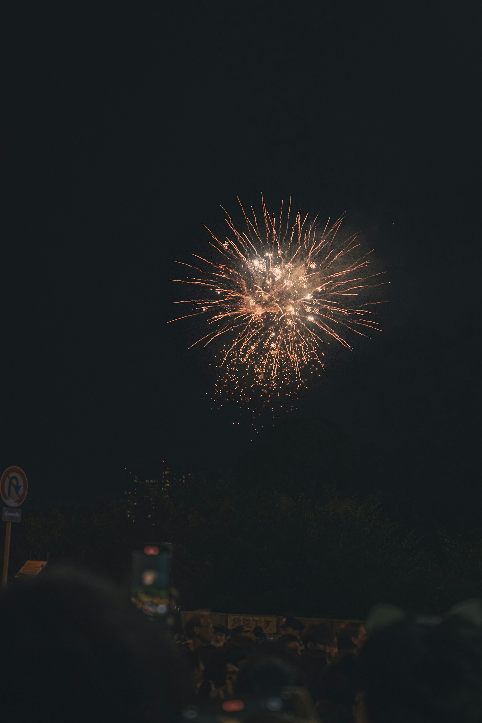 Fireworks bursting in the night sky