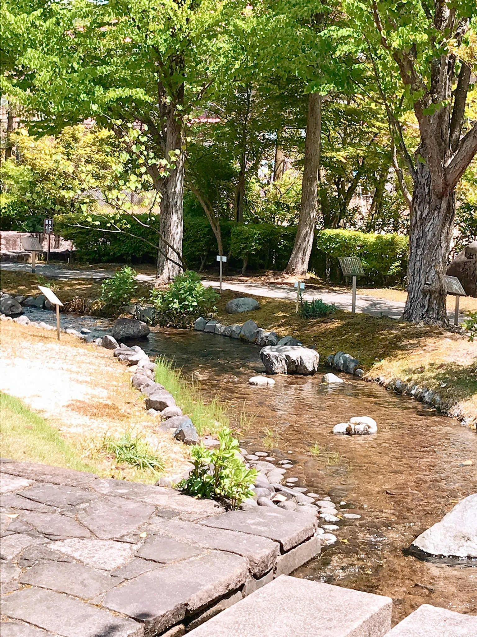 風景如畫的花園，有小溪和郁郁蔥蔥的樹木