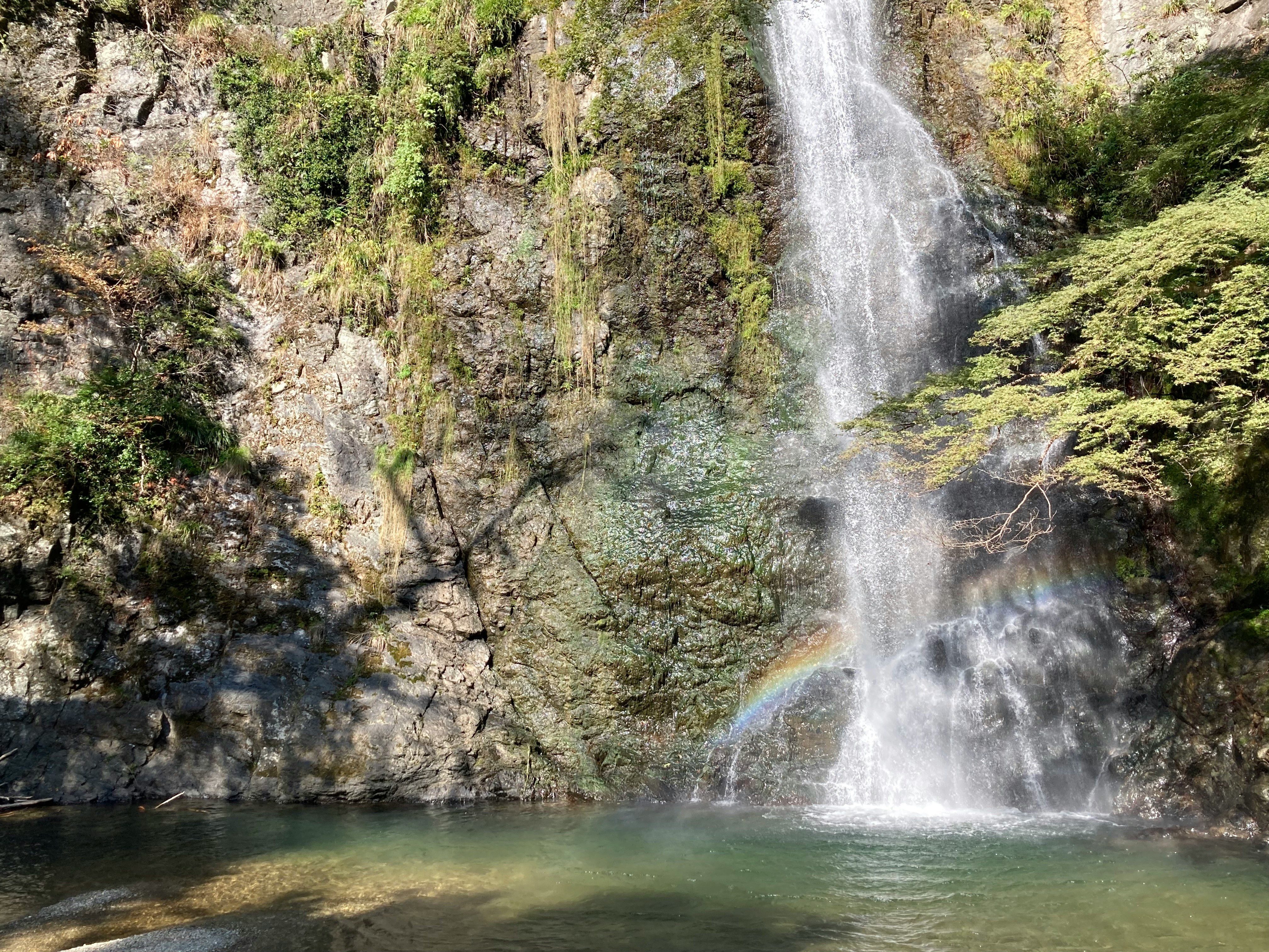 滝と虹がかかる渓流の景色
