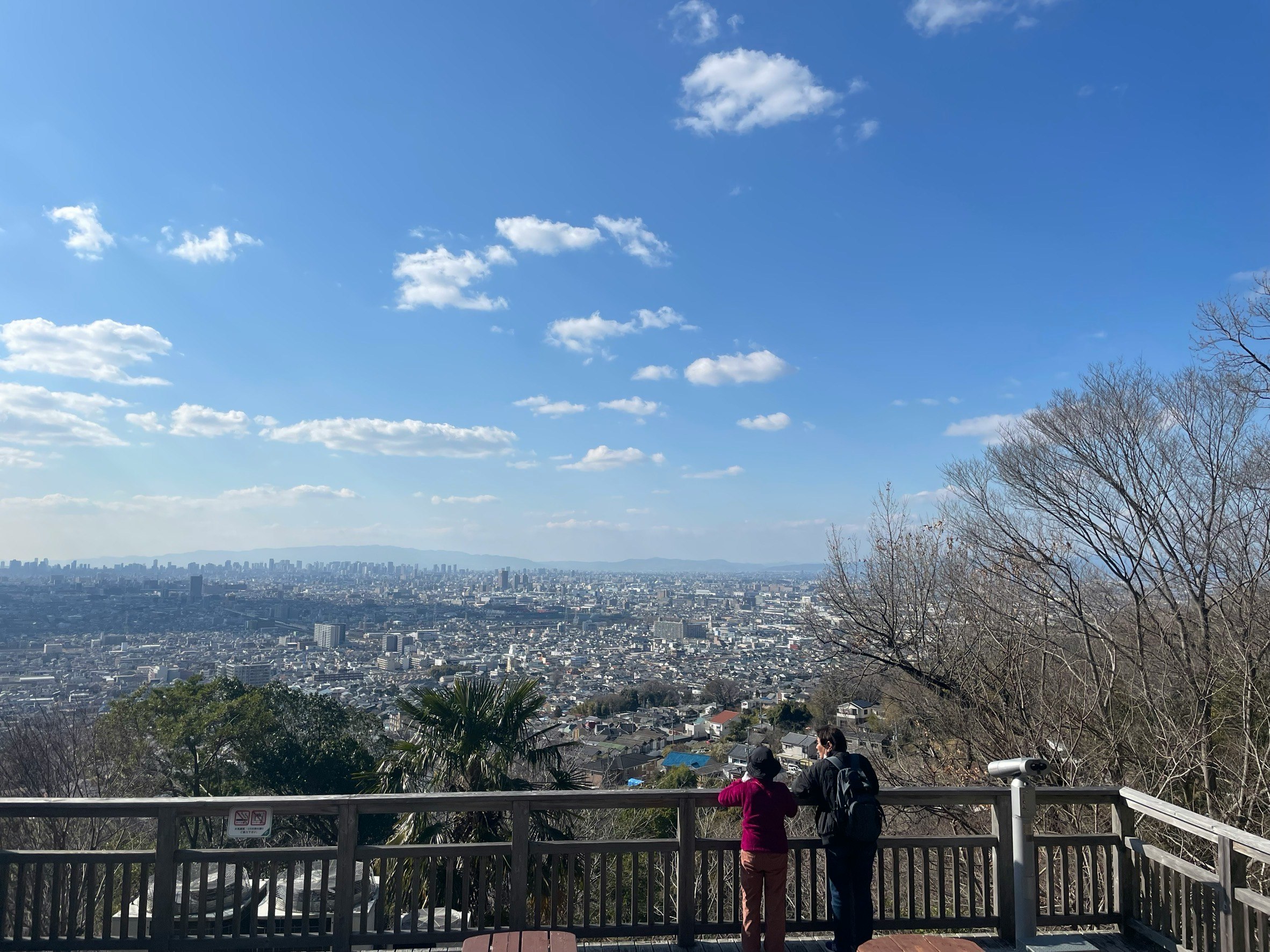 展望台から見下ろす街並みと青空