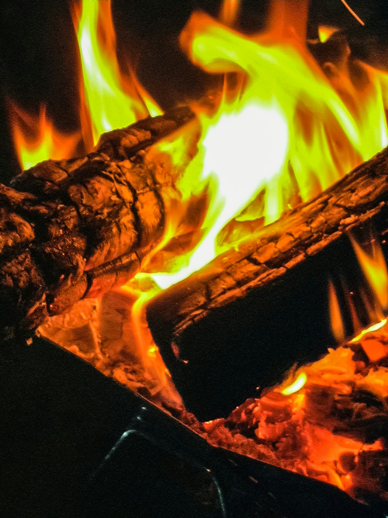 Gros plan sur du bois brûlant et des flammes vives dans un feu de camp