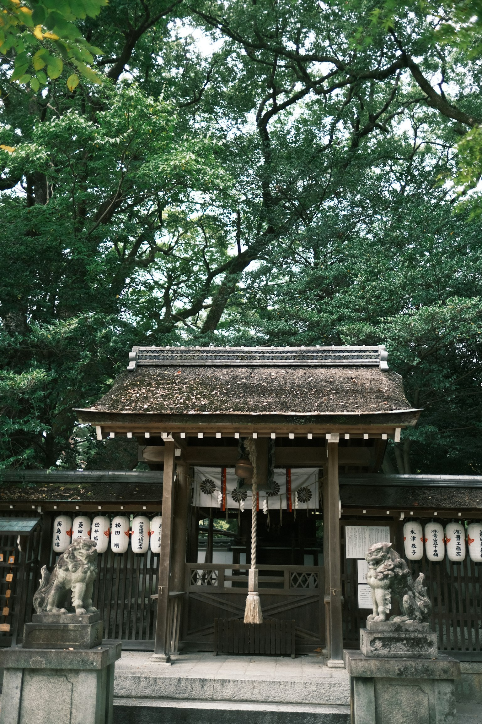 photo-aO8joKjf7S2SYFA5OIfa-image