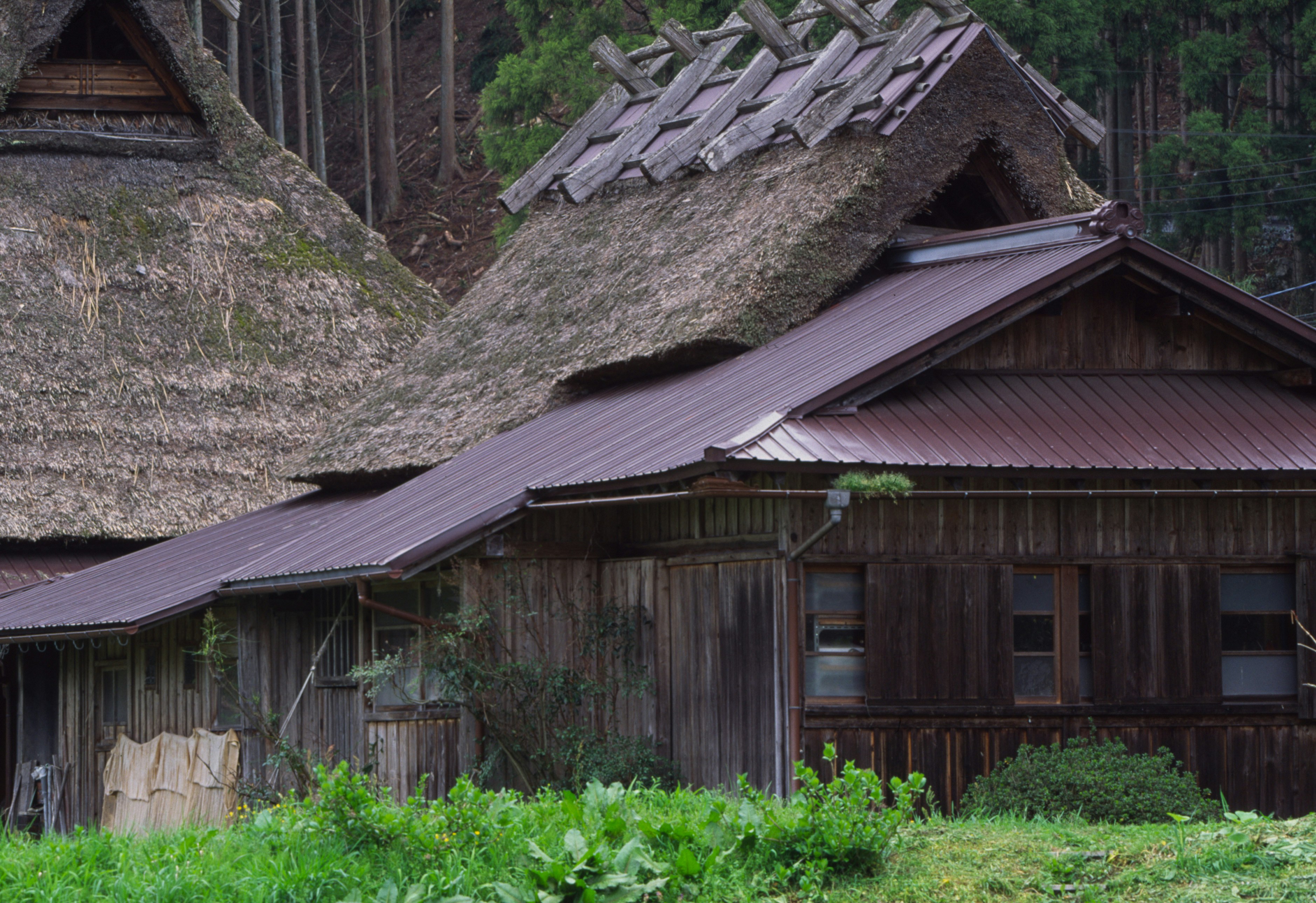 茅葺き屋根の古民家と木造の建物外観