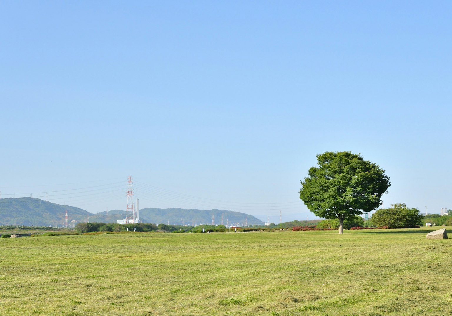 Paysage avec un arbre vert et un champ de gazon sous un ciel bleu