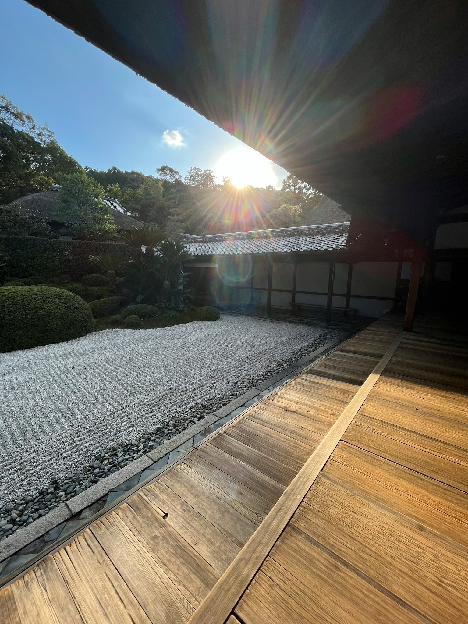 Vista di un giardino giapponese sereno terrazza in legno e sentiero di pietra luce solare che entra