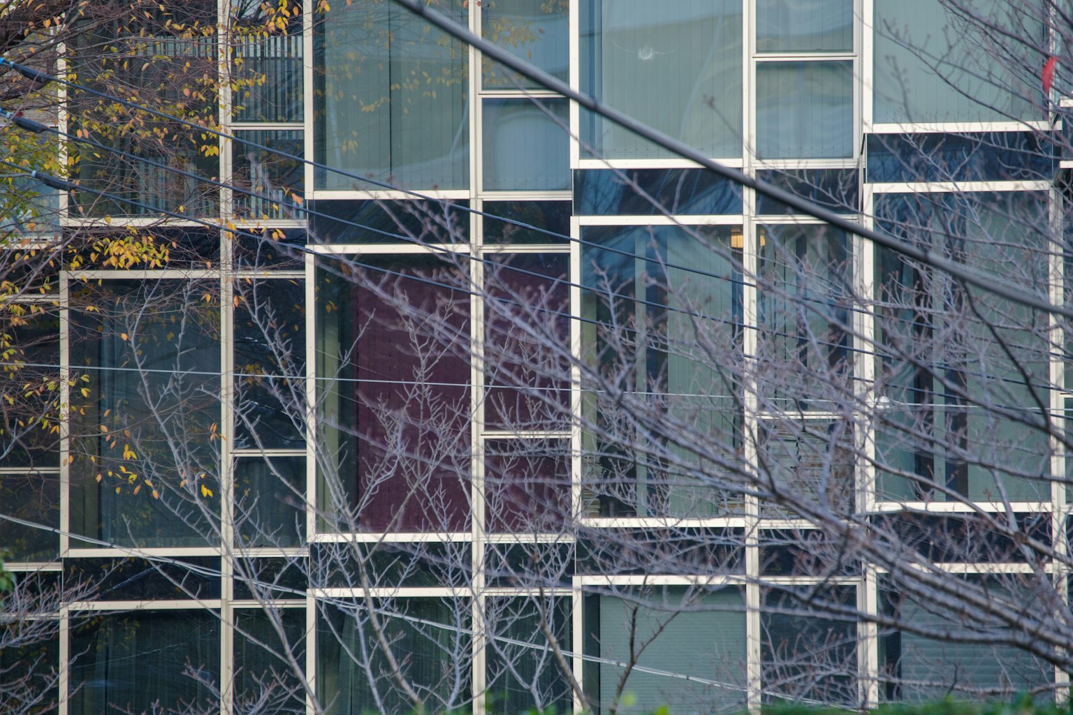 Bild eines modernen Gebäudes mit markanten Fensterdesigns und Rahmen