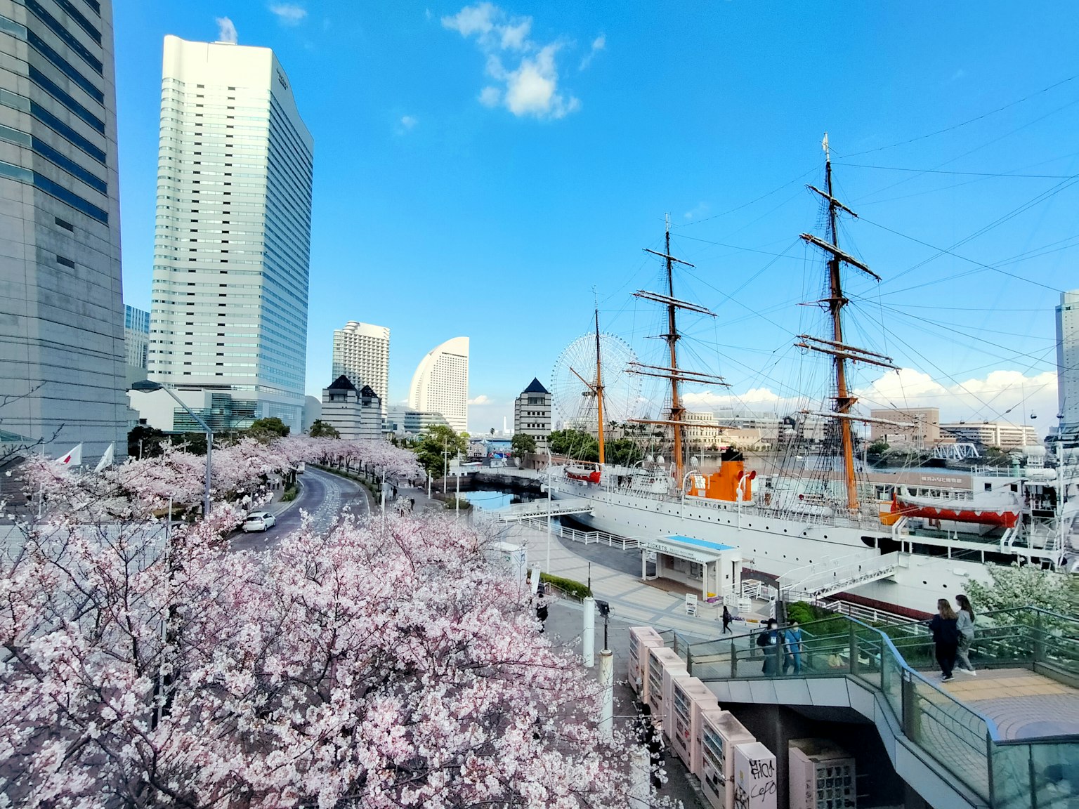 ทิวทัศน์ของซากุระในโยโกฮาม่าพร้อมเรือใบโบราณและตึกสูง