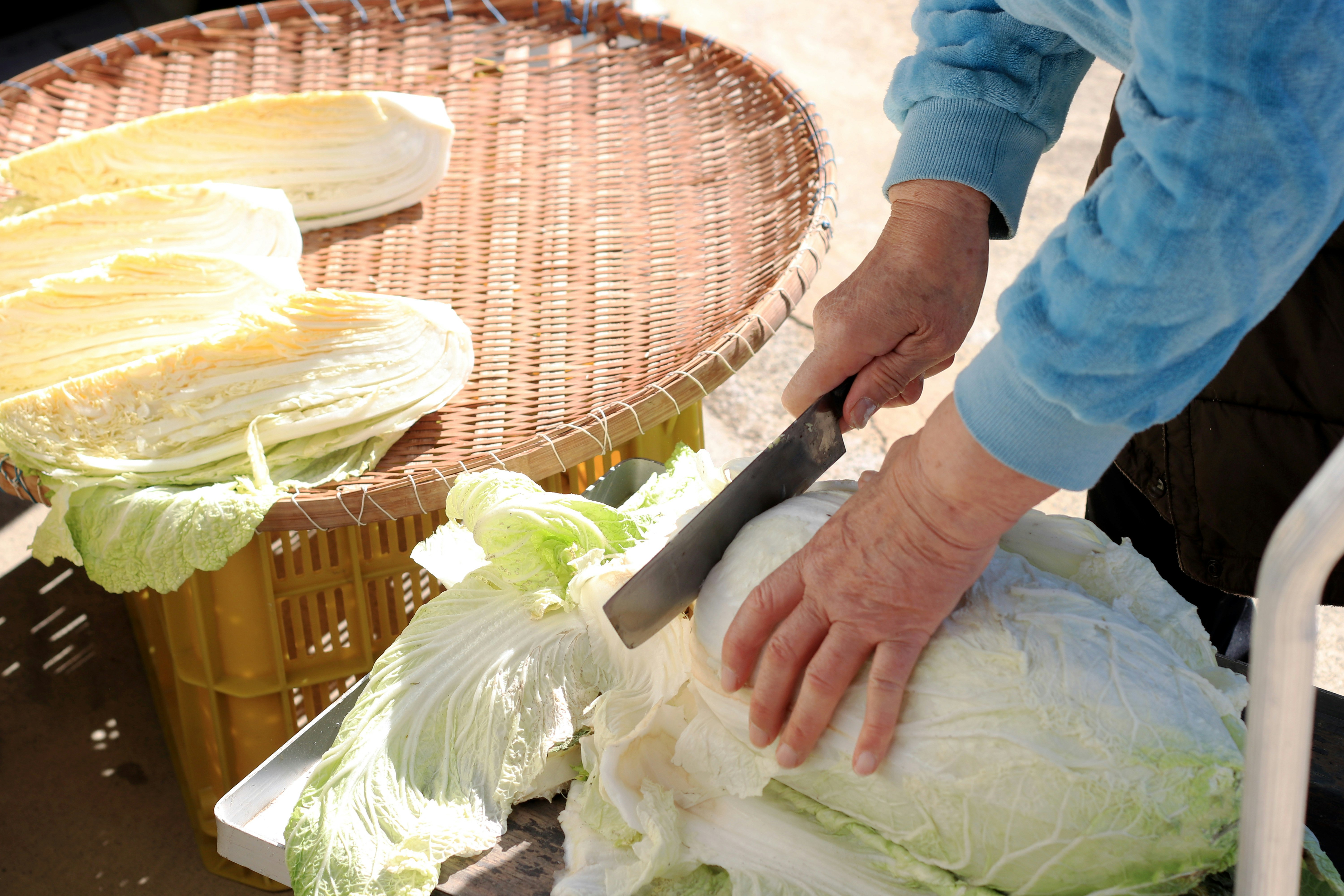 hands sorting cabbages in a basket