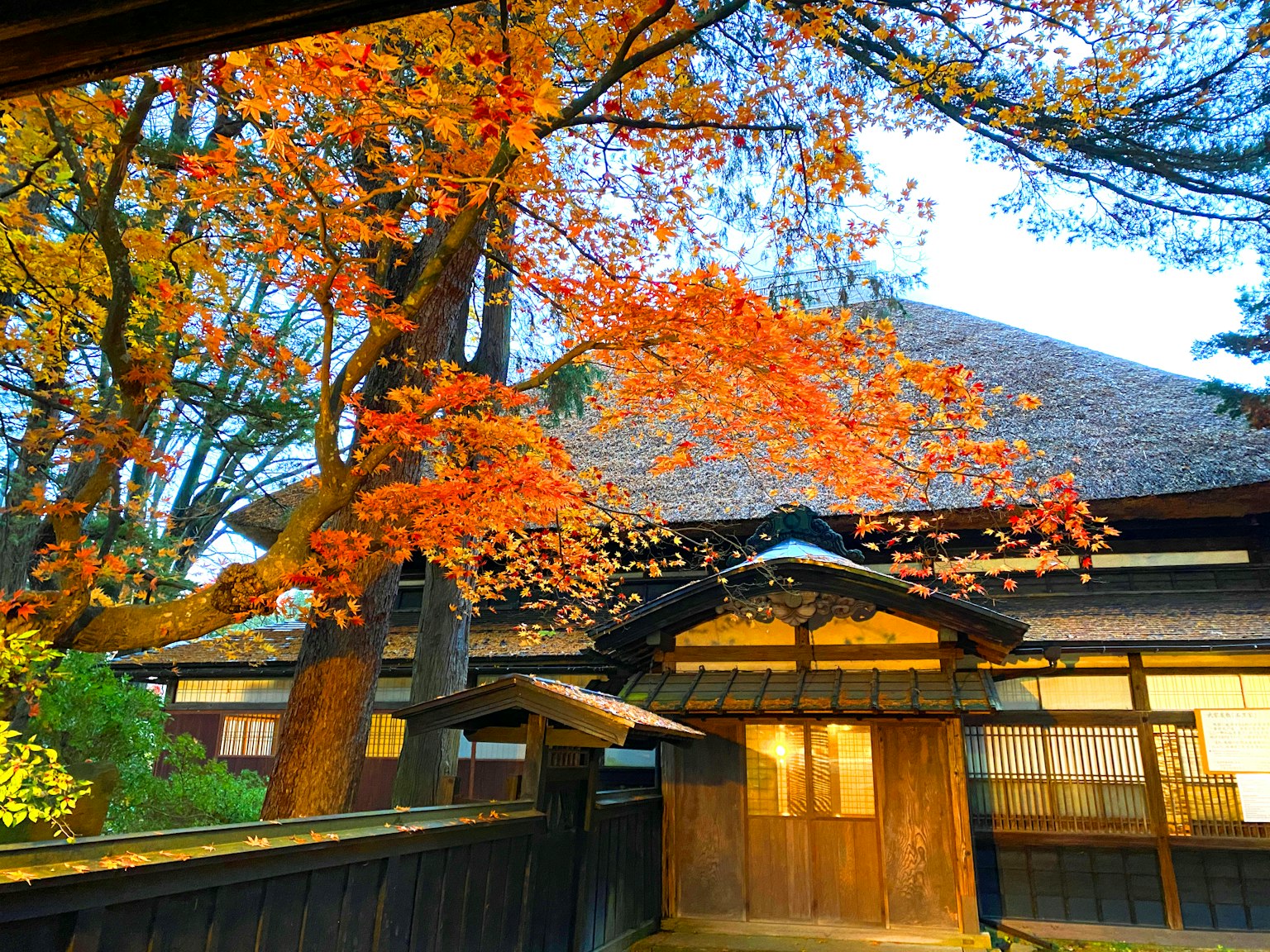 Traditionelles japanisches Haus mit wunderschönem Herbstlaub