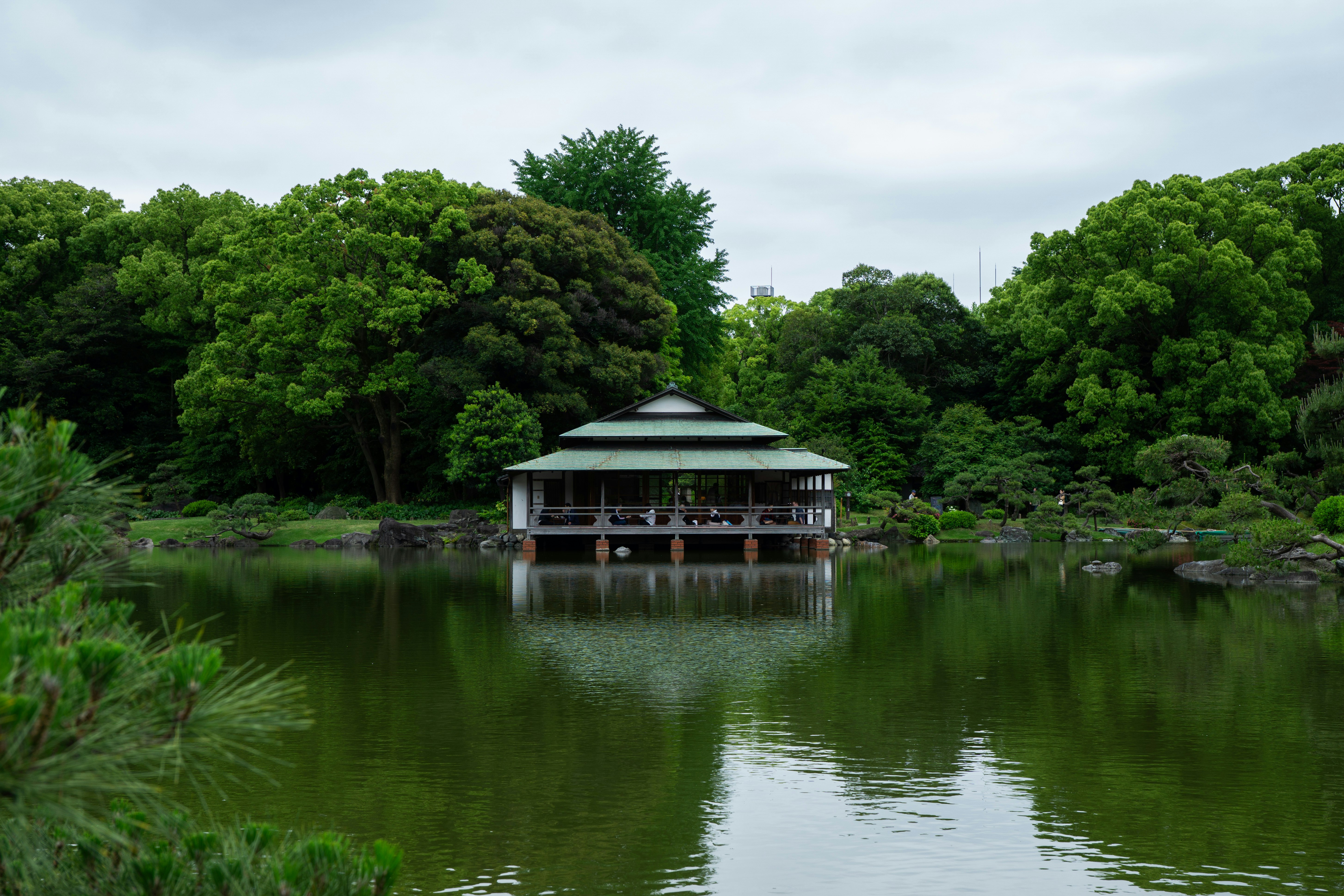 池に浮かぶ和風の休憩所と緑の庭園