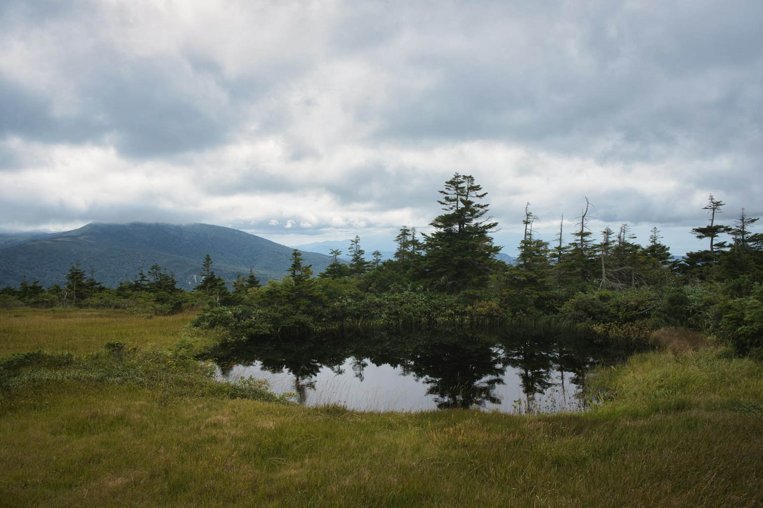 A tranquil pond with a clear surface surrounded by lush greenery and distant mountains