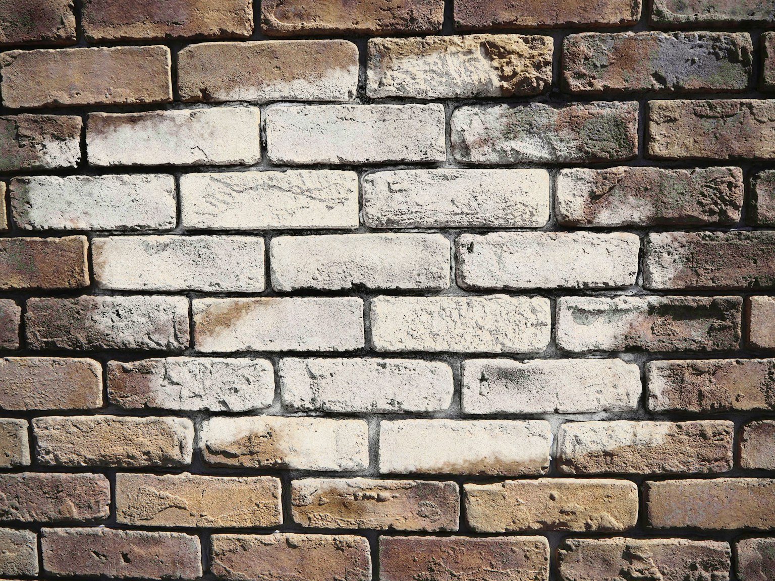 Muro in mattoni marroni e bianchi
