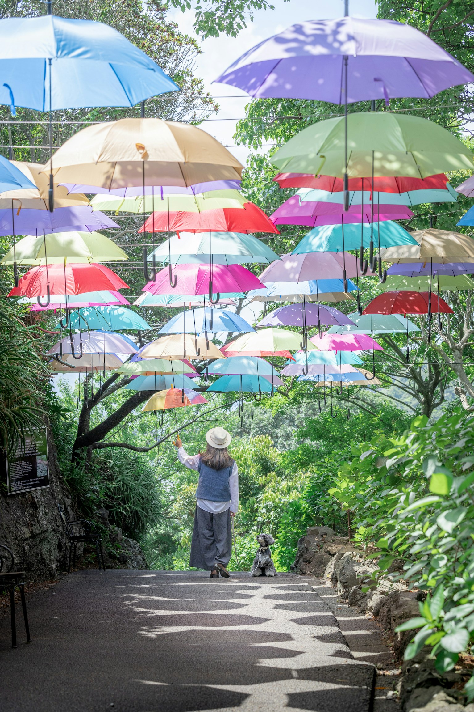 Una donna che cammina lungo un sentiero lussureggiante con ombrelli colorati appesi sopra