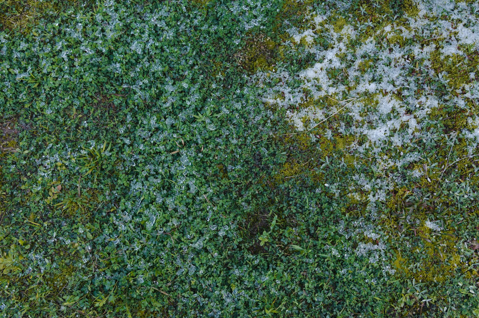 photo-aRQbT25ClfRxykrbw3Ca-image