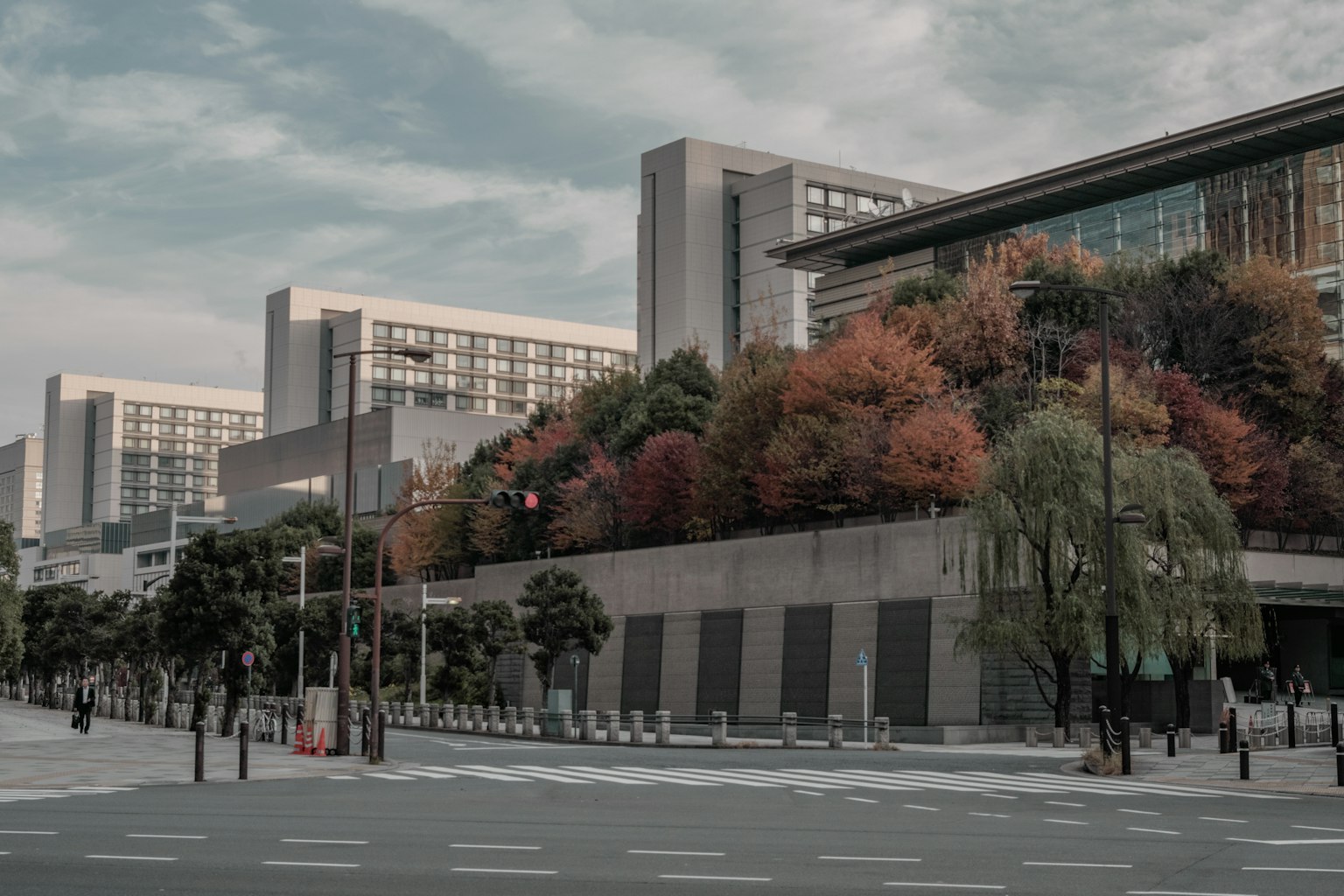 城市景觀,色彩繽紛的樹木和現代建築