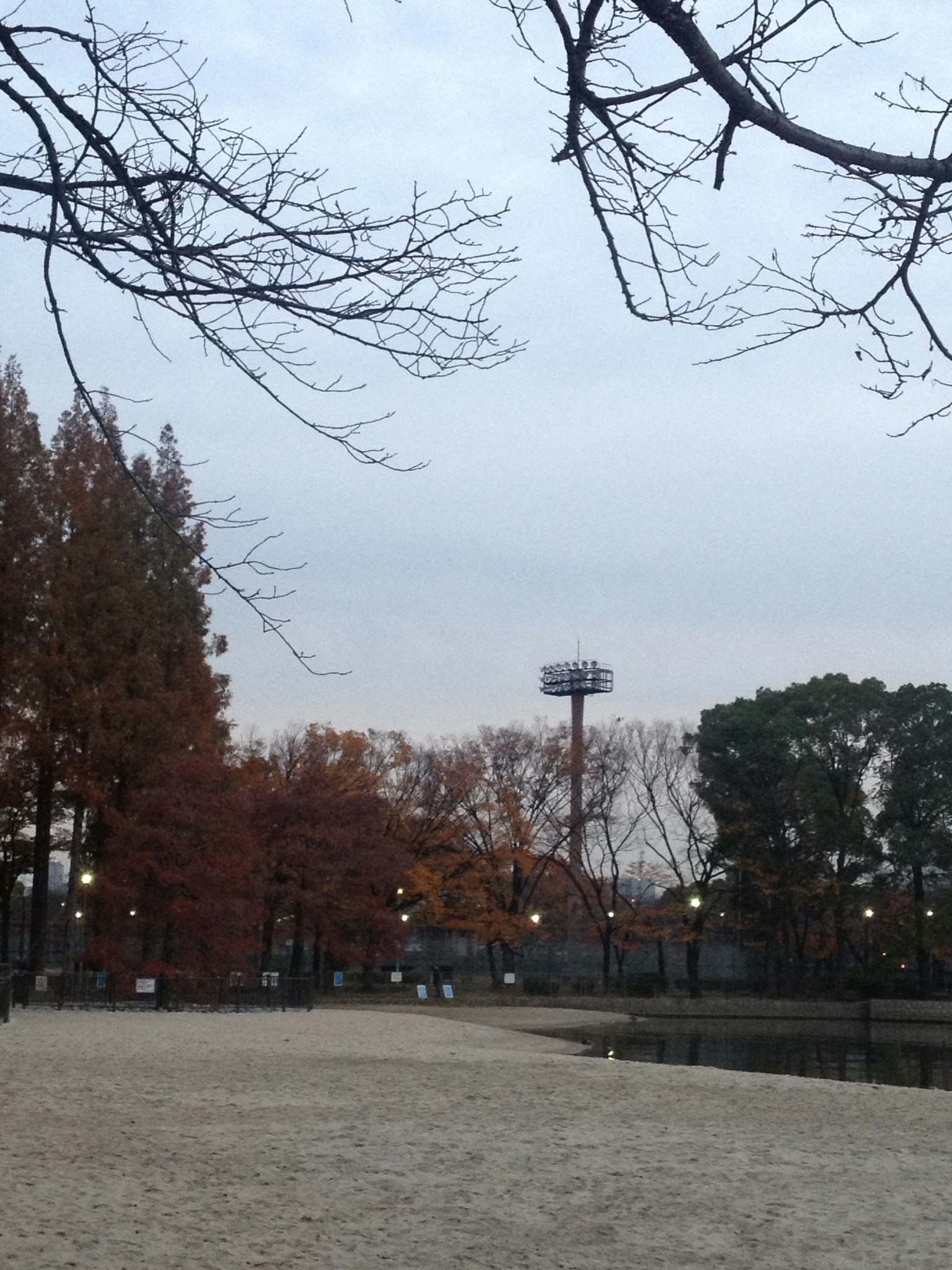 秋季公园景象，五彩斑斓的树木和多云的天空