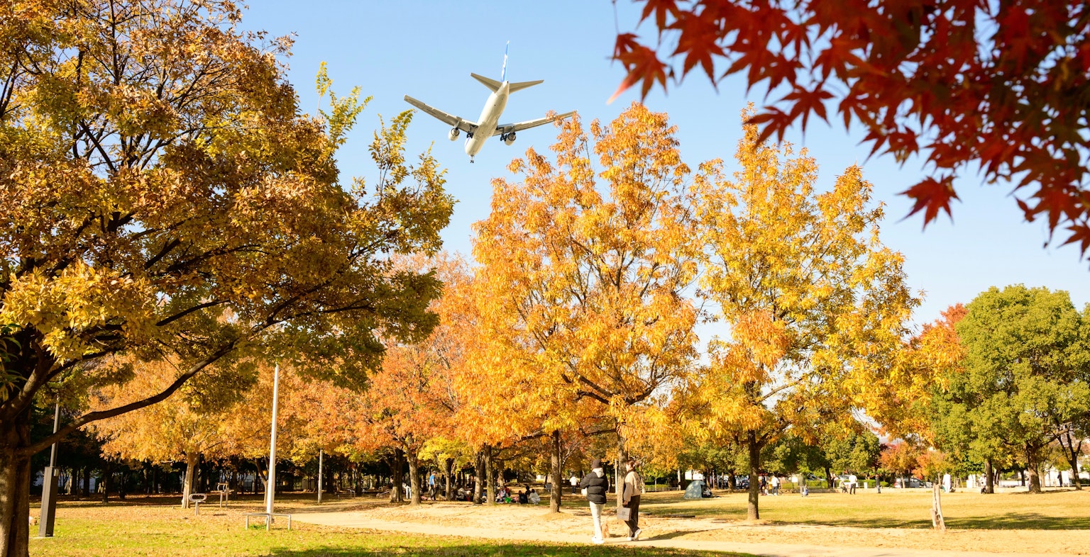 秋の公園に飛行機が飛んでいる風景
