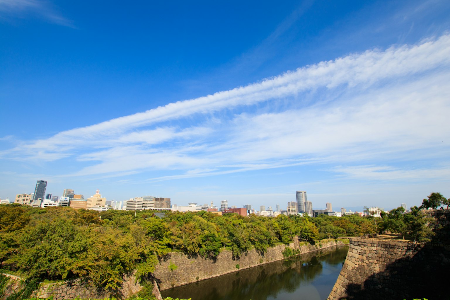 Urban landscape with lush greenery and a river under a blue sky with clouds