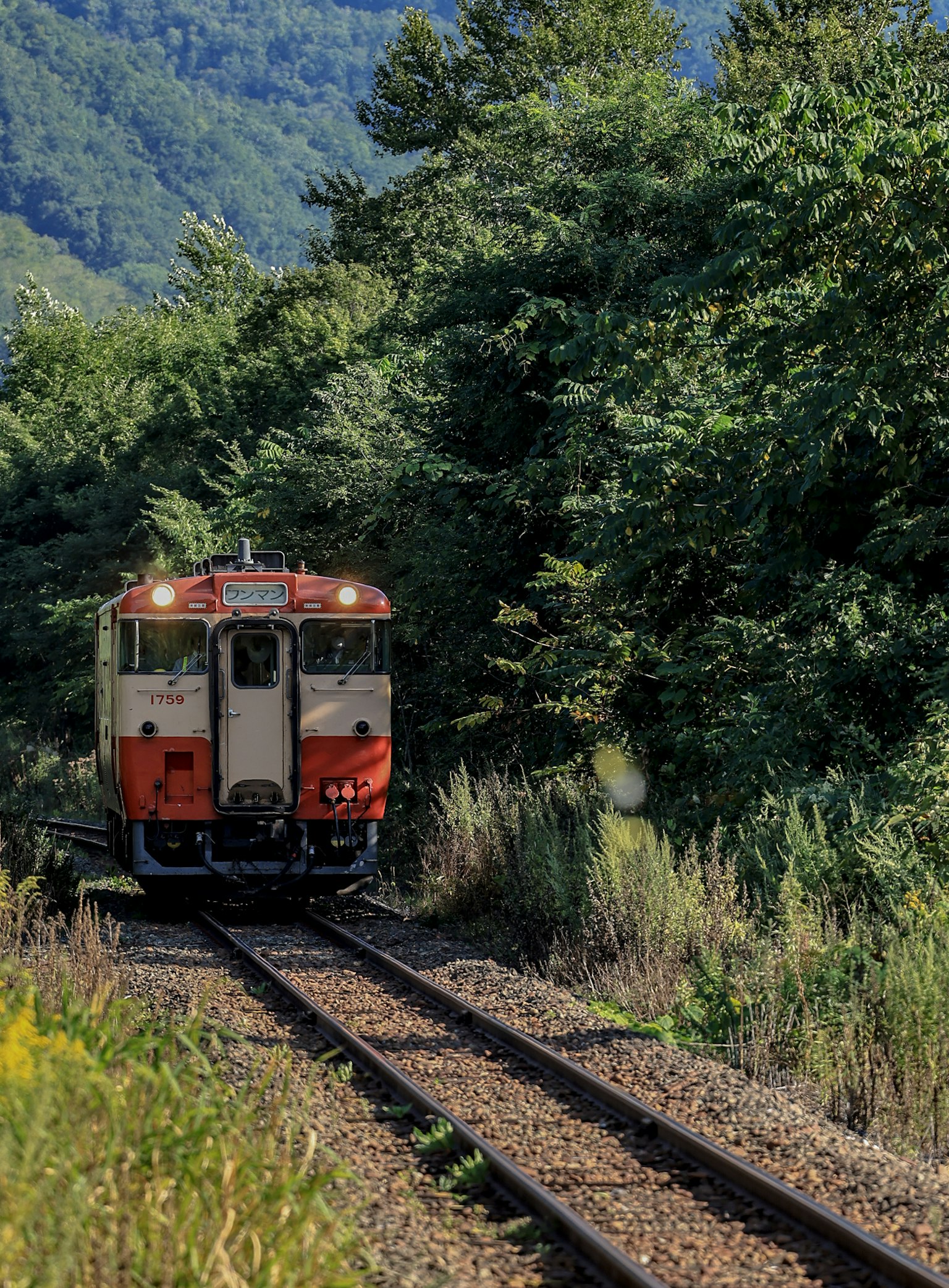 Red train traveling through lush greenery
