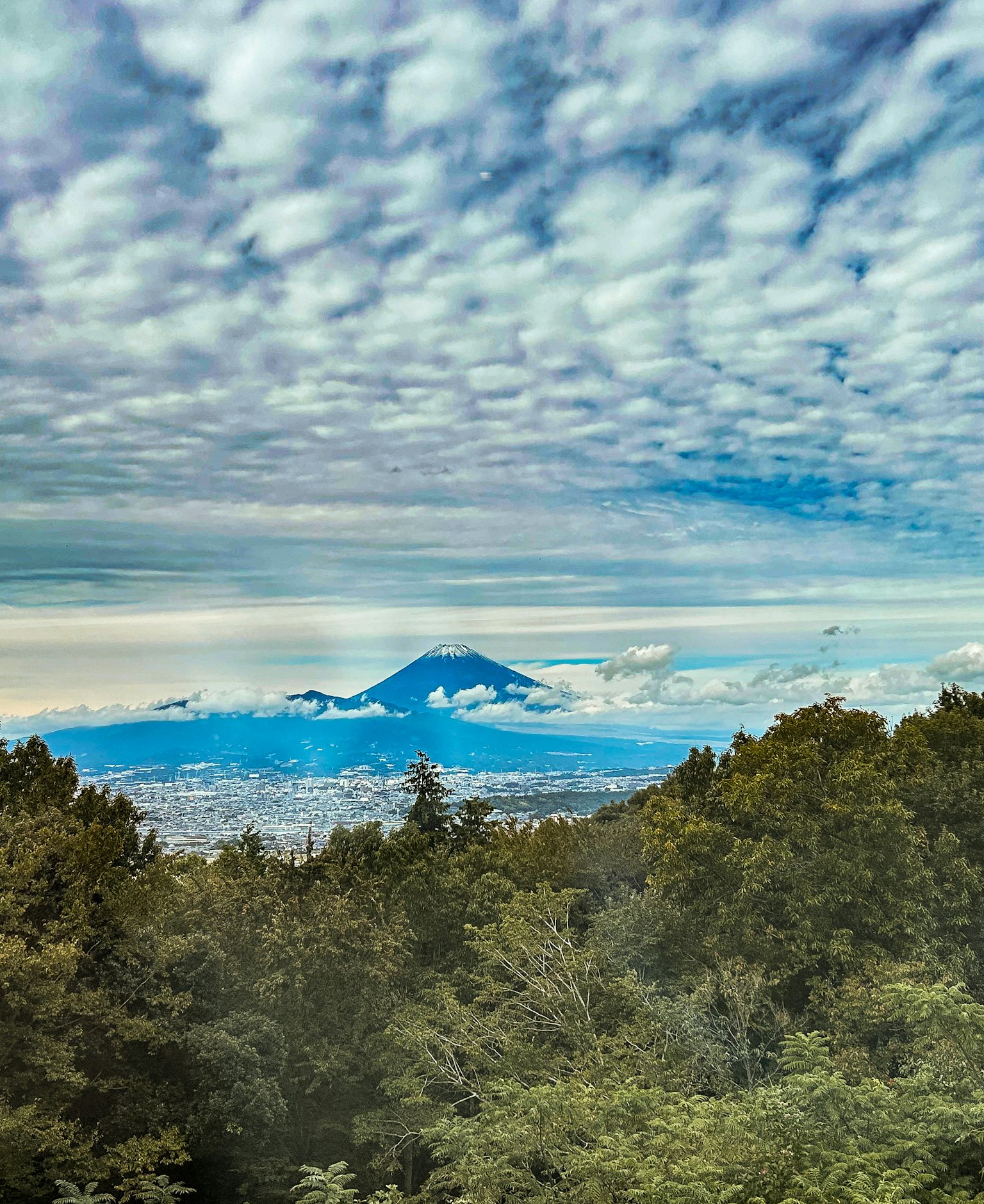 青い空と雲に囲まれた富士山の美しい風景 緑豊かな木々が前景に広がる