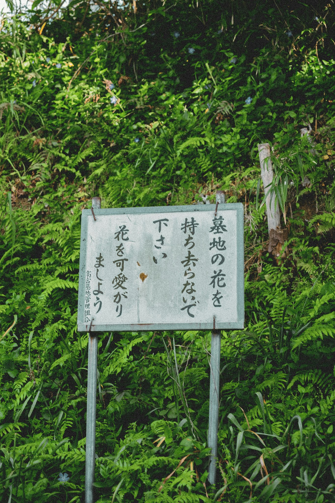 緑の茂みの中に立つ花の案内板