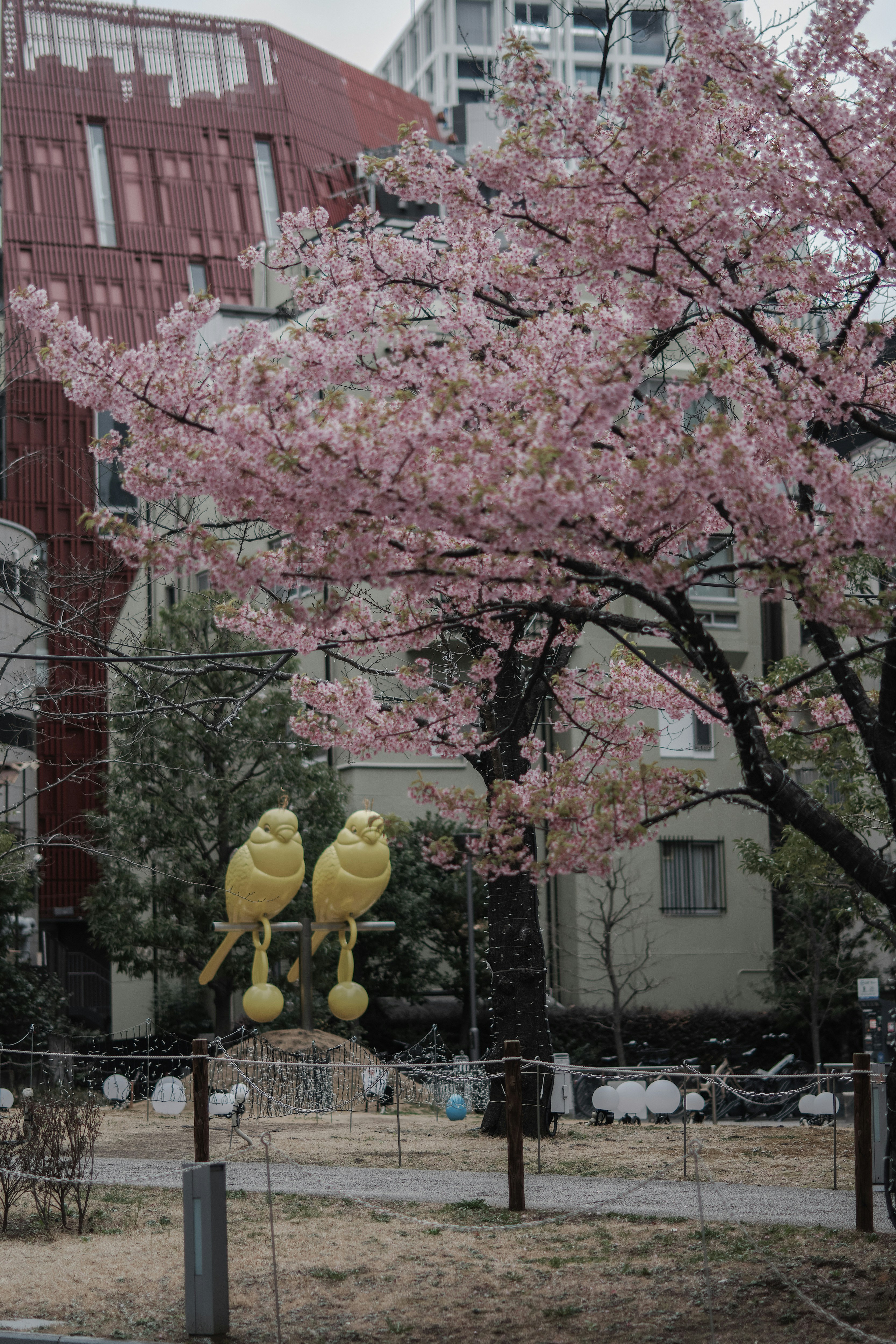 河津桜の並木と鳥のモニュメントのある街角