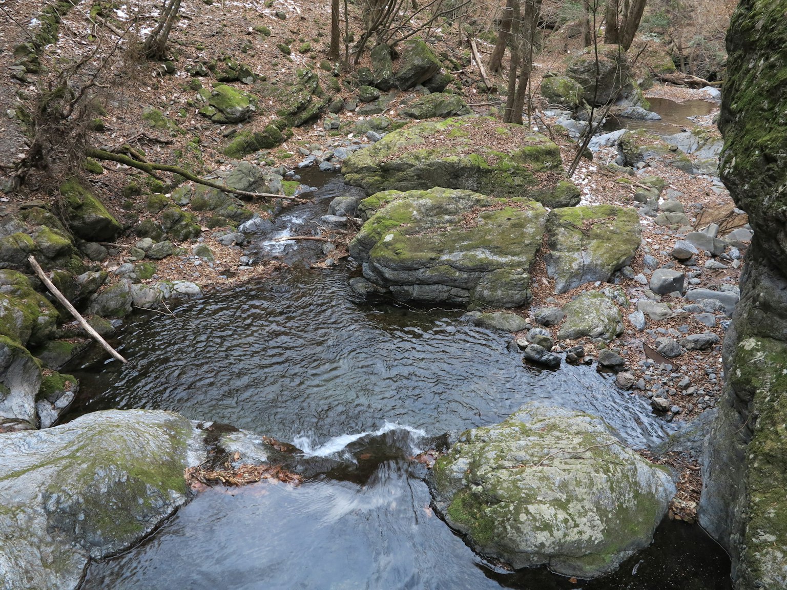 Ruscello sereno con rocce coperte di muschio e dolce flusso d'acqua