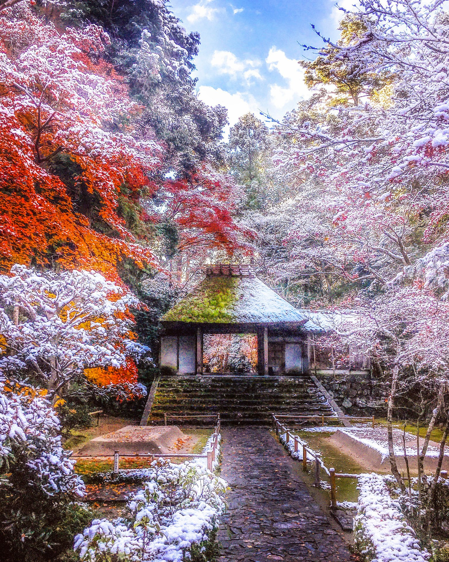 Nhà truyền thống Nhật Bản trong khu vườn phủ tuyết với lá mùa thu