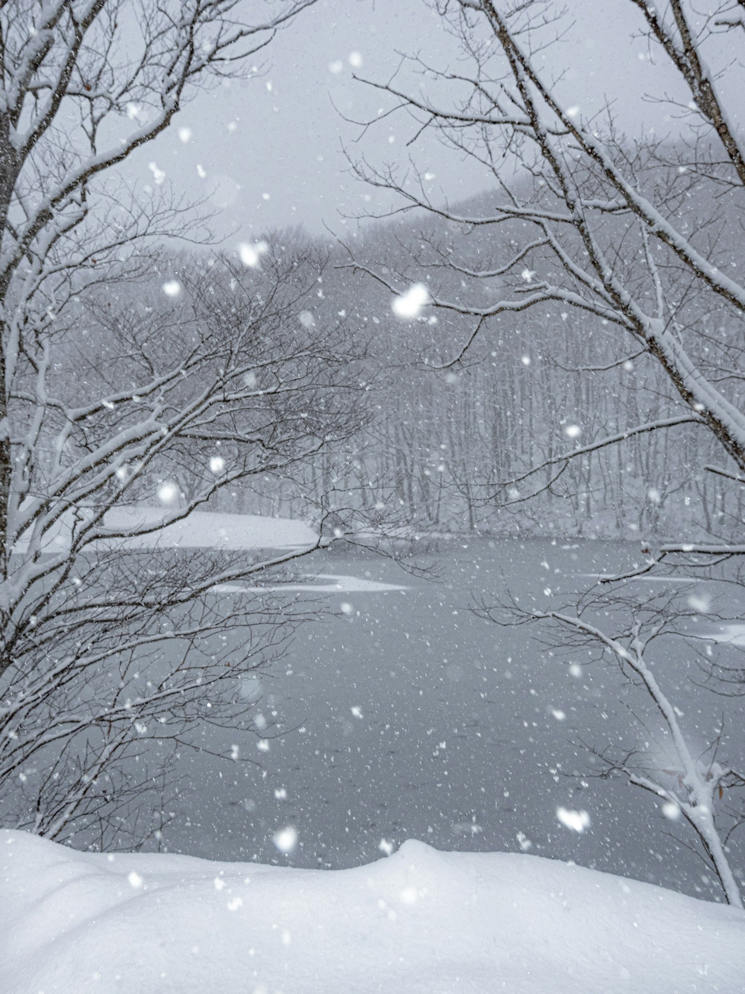 Serene winter landscape with falling snow over a lake surrounded by bare trees