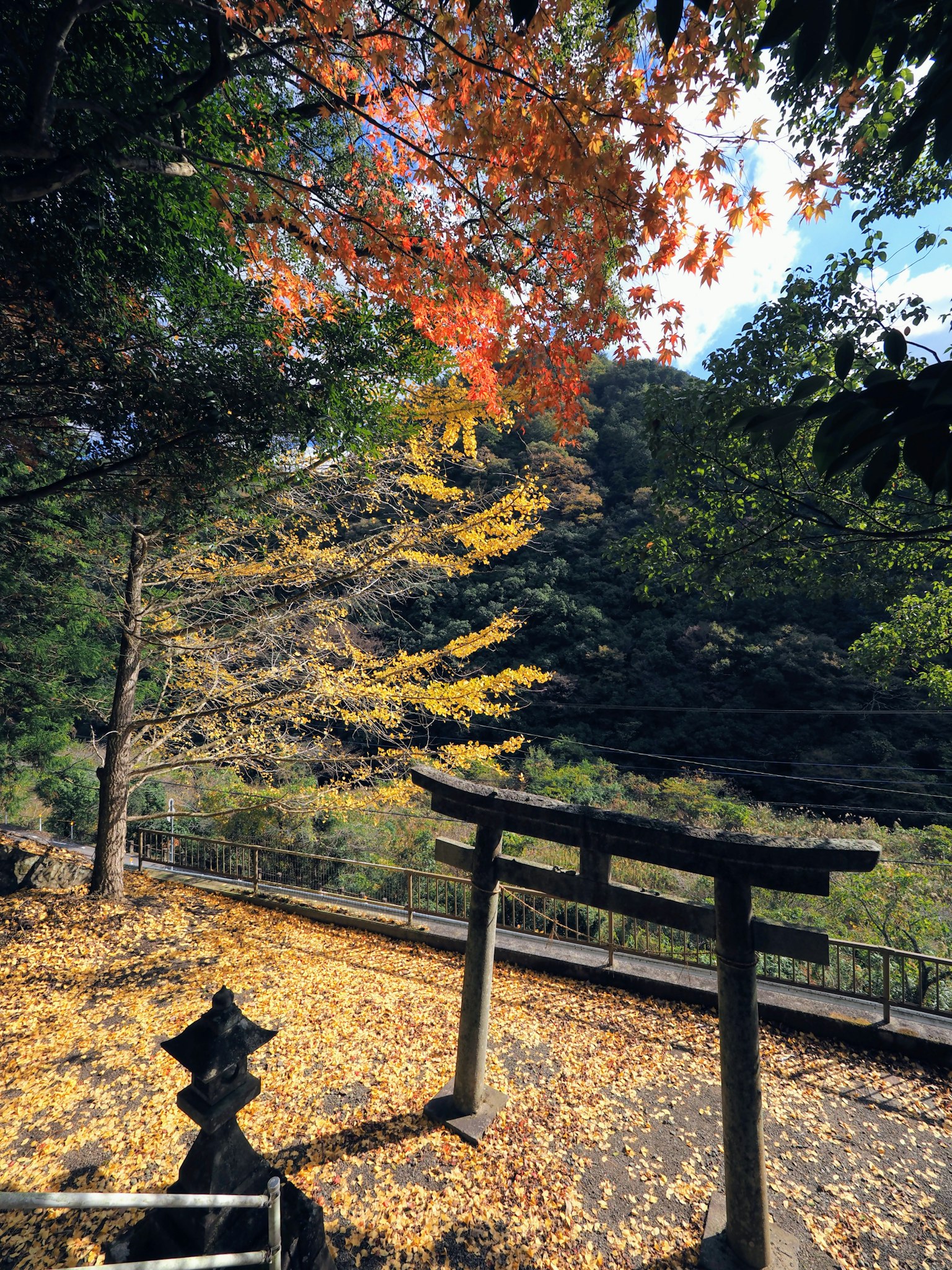 秋季葉子與鳥居的風景