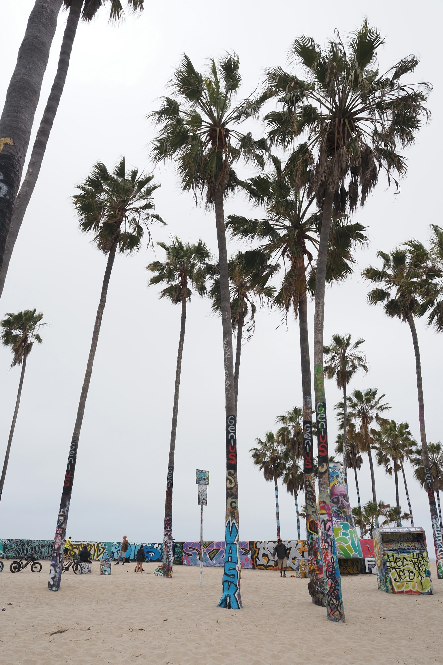 Des palmiers et des poteaux recouverts de graffiti sur une plage sous un ciel nuageux