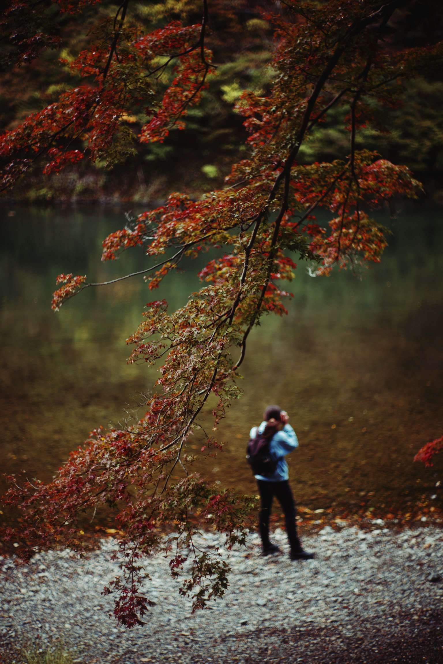 秋の紅葉の中で川のそばに立つ人物
