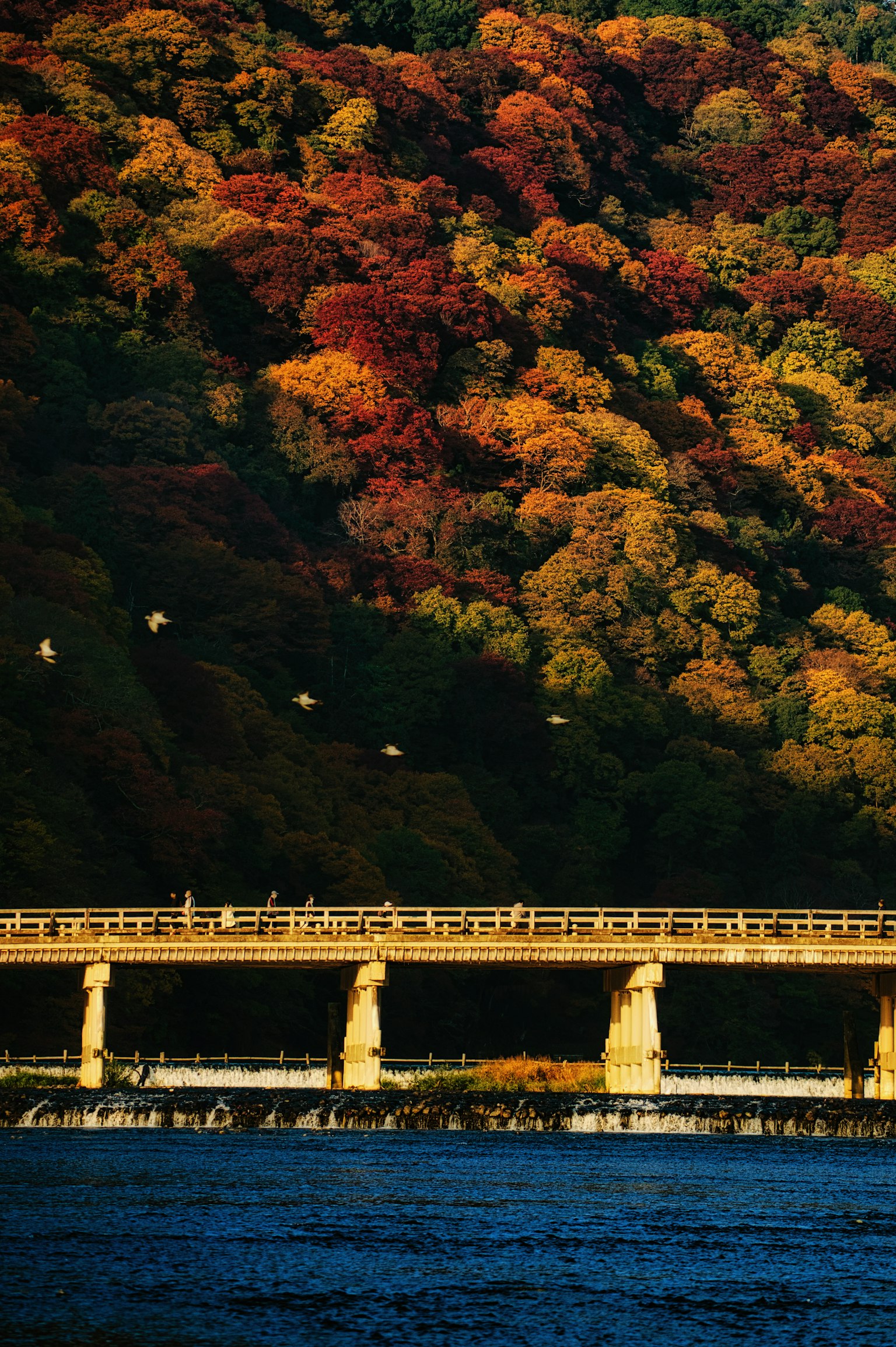 Vista panoramica di un fiume e di un ponte circondato da un fogliame autunnale vibrante
