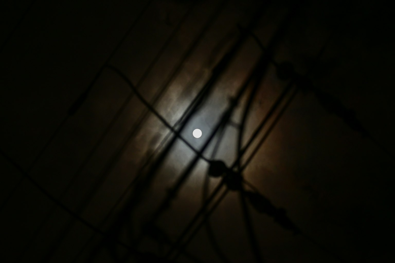 photo-aX4Kp3Az9OhrPNvyzCuZ-image